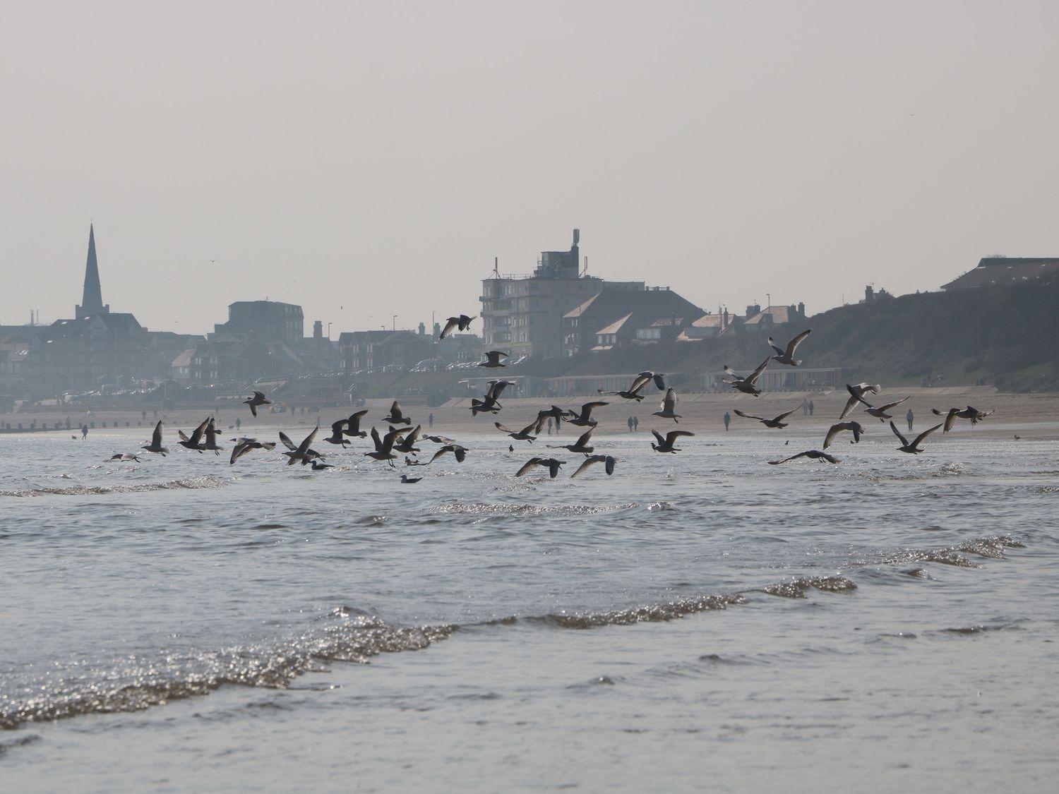 Coral Villa Bridlington Dış mekan fotoğraf